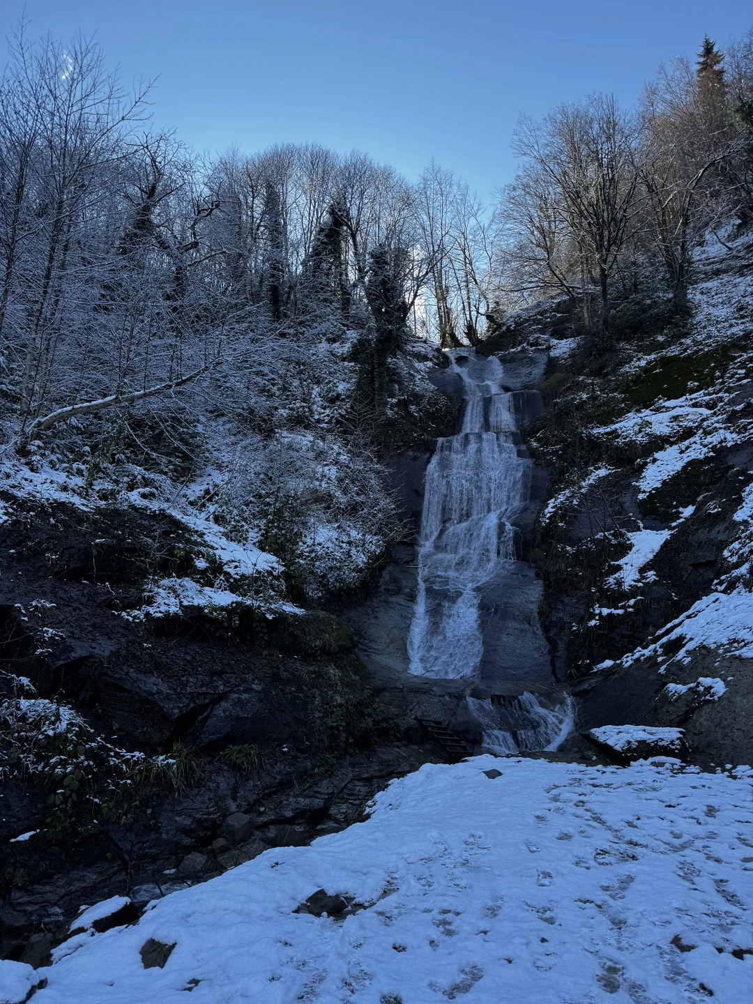 Прекрасная и насыщенная экскурсия по Горной Аджарии и часть Батуми. Увлекательно, интересно, колоритно, вкусно. Удивлена, что