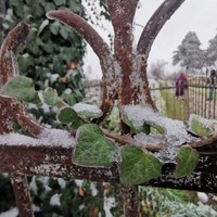 Фото отзыва 3: экскурсия "Трансфер «Аэропорт Минеральные Воды — Пятигорск» + экскурсия"