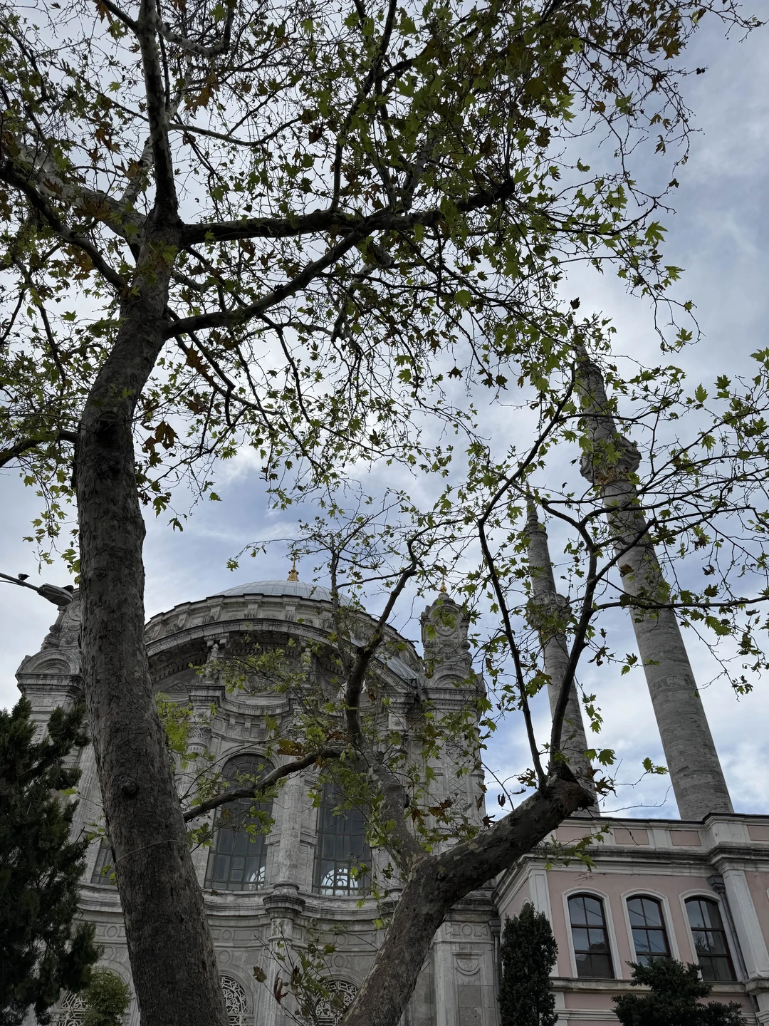 Мы очень рады, что решили взять именно эту экскурсию. Наш гид Назгуль - очень приятная, эрудированная