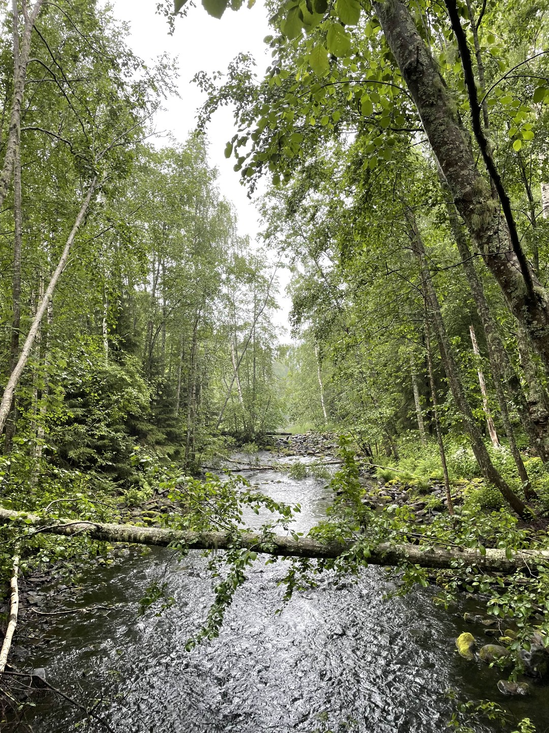 все было отлично