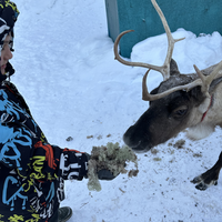 Фото отзыва 3: экскурсия "Каникулы в Хибинах + этническая деревня саами"