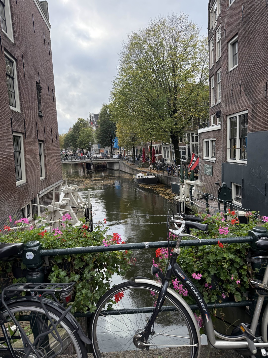 Чудесные ребята! Чудесная Марина! Очень советую, много, где побывали, но эта экскурсия в формате свидания с