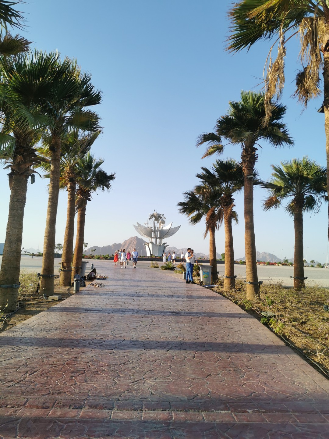 Добро пожаловать в Шарм-эль-Шейх (Асафова)