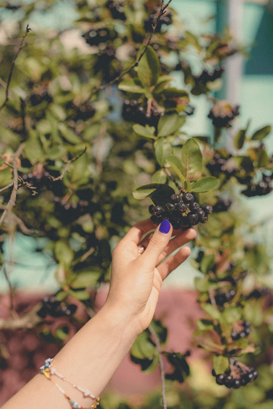 «Рождённый в СССР»: история, мифы и легенды Тракторозаводского посёлка (7/12)