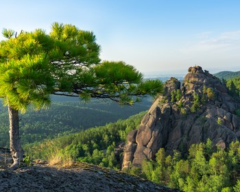 Красноярские Столбы, «Царь-Рыба» и прогулка по Дивногорску
