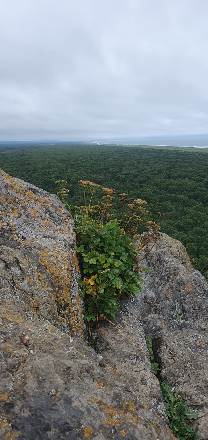 2 в 1: Петропавловск-Камчатский и Халактырский пляж (Татьяна)
