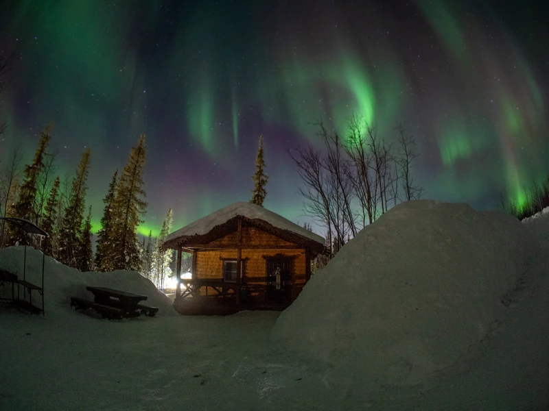 Фотопоездка в Териберку - киты, тундра и северное сияние