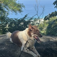reviews img