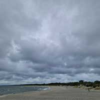reviews img
