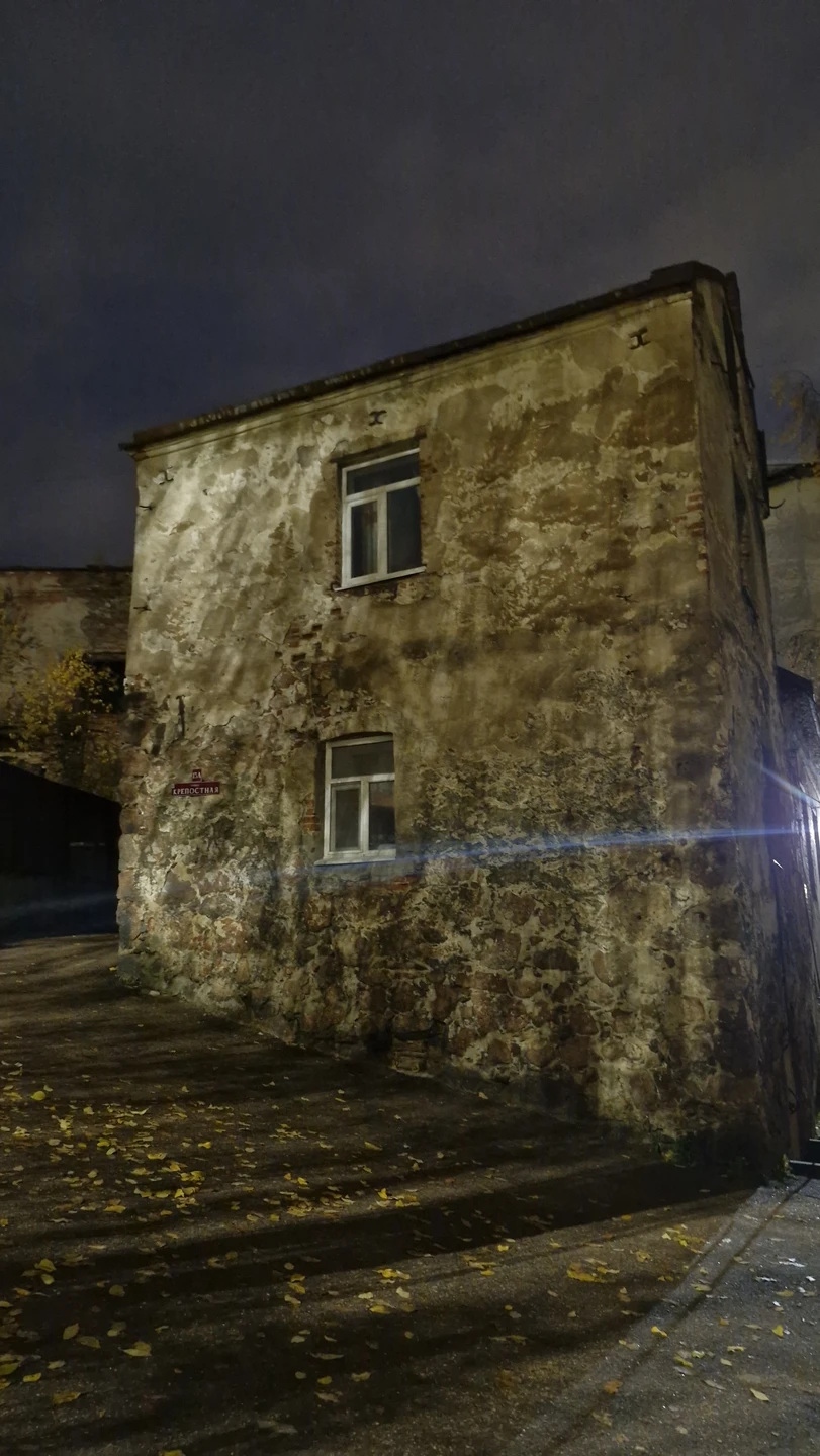 Выборг в компании художника (Александр)