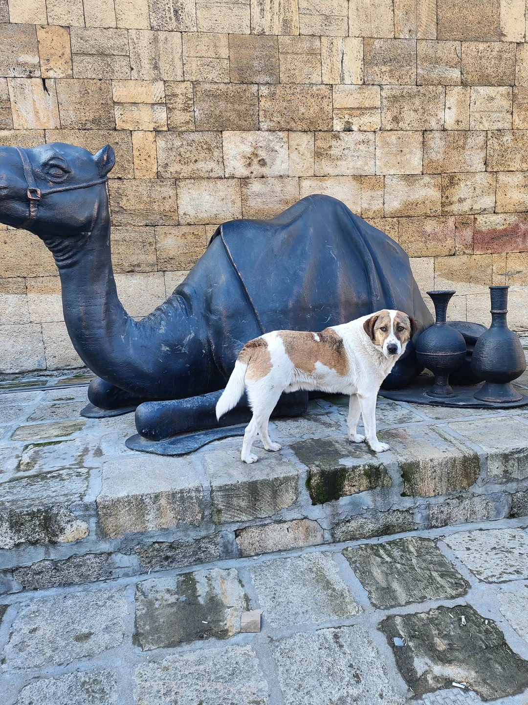 Дербент и экраноплан «Лунь» из Махачкалы (Елена)