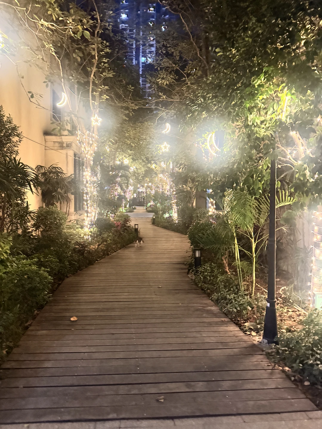 Очень понравилась экскурсия! Лёгкая, интересная и без спешки. За один день увидели все основные места Гуанчжоу