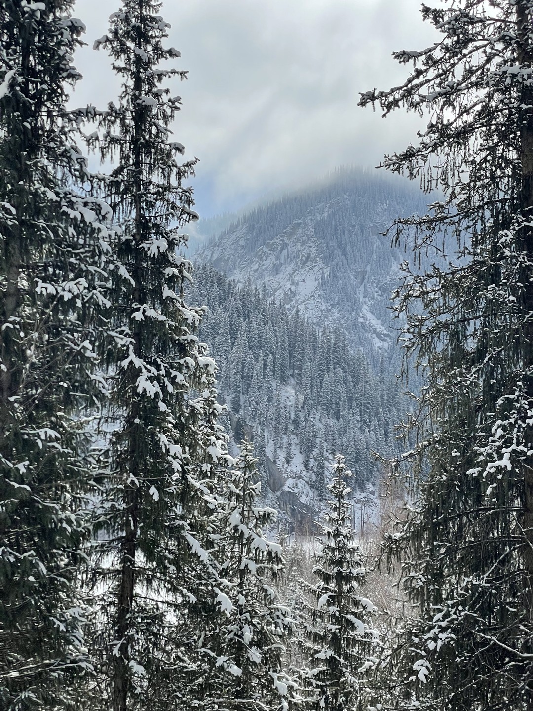 Это было невероятное путешествие, которое превзошло все ожидания