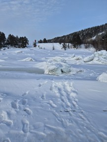 Фото отзыва 2: экскурсия "Из Мурманска в Кандалакшу — на Белое море!"