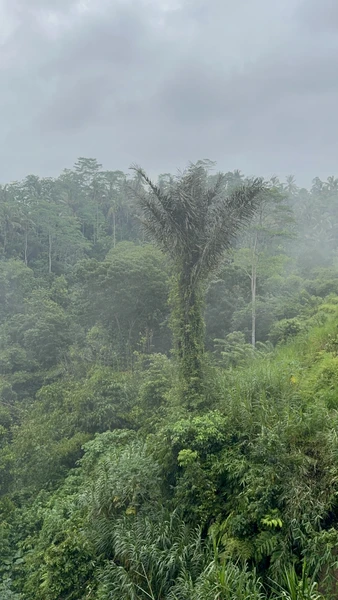 Экскурсия отличная! За один день можно ознакомиться с достопримечательностями и жизнью острова! Наш гид Ари мог
