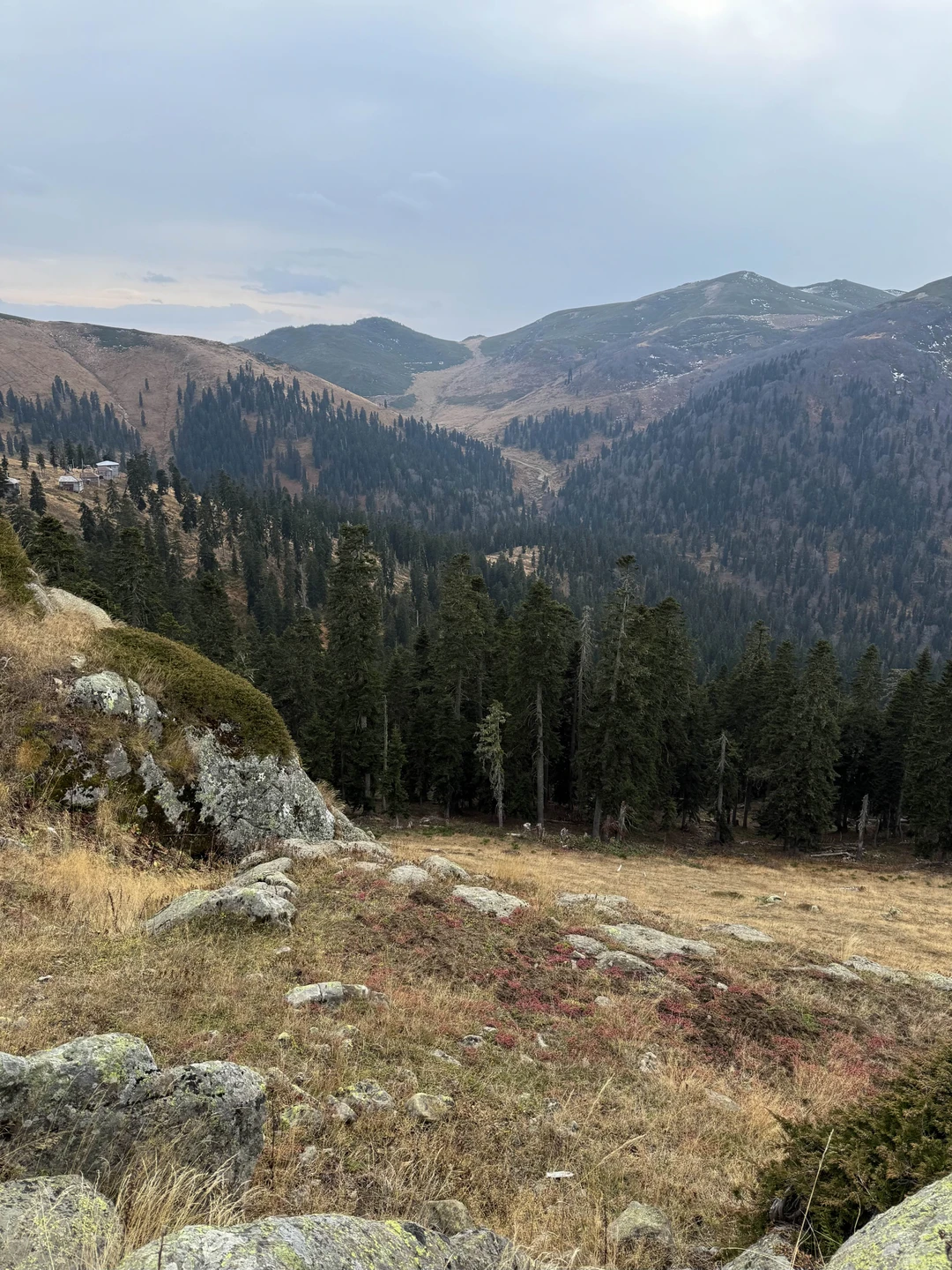 Очень интересная и насыщенная поездка. Было очень интересно пообщаться с Джаббой! Красиво и вкусно, даже не ожидали такого классного пикника!