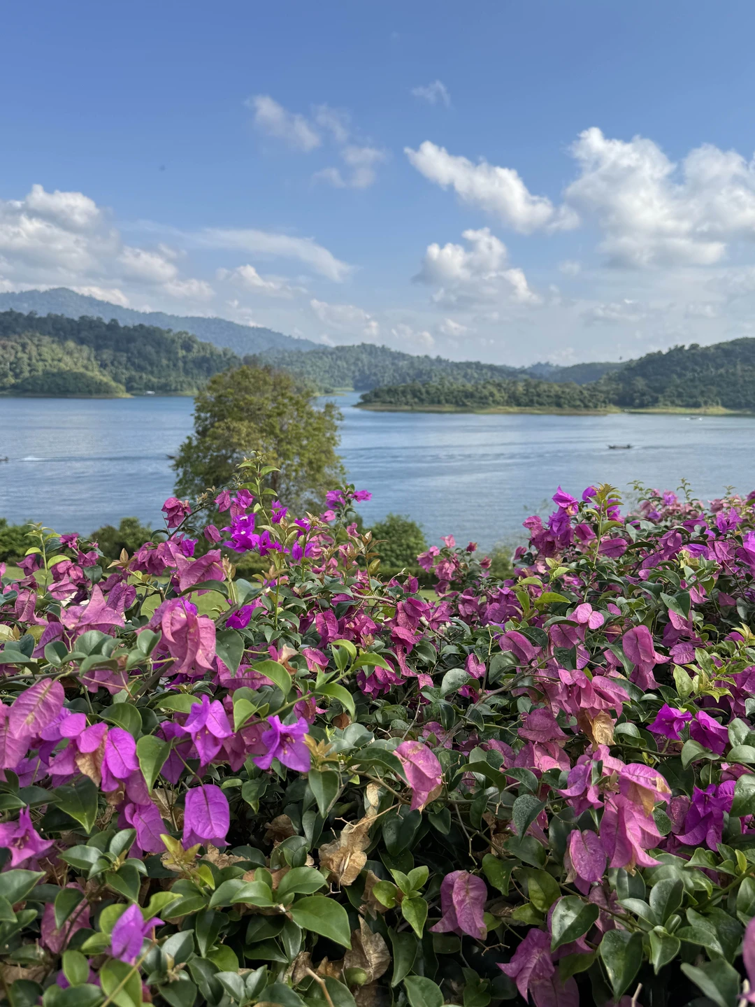Все прекрасно, встретили вовремя, все рассказали, показали. Рекомендую.
