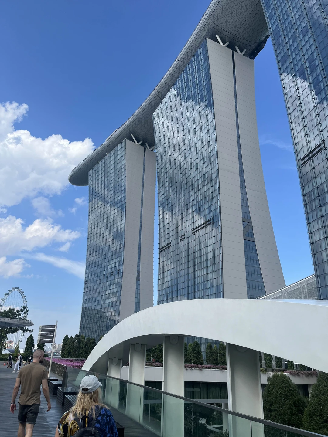 Прямо перед нашими глазами Ирине удалось сложить прекрасную мозаику с ярким обликом этого уникального города-государства Сингапур