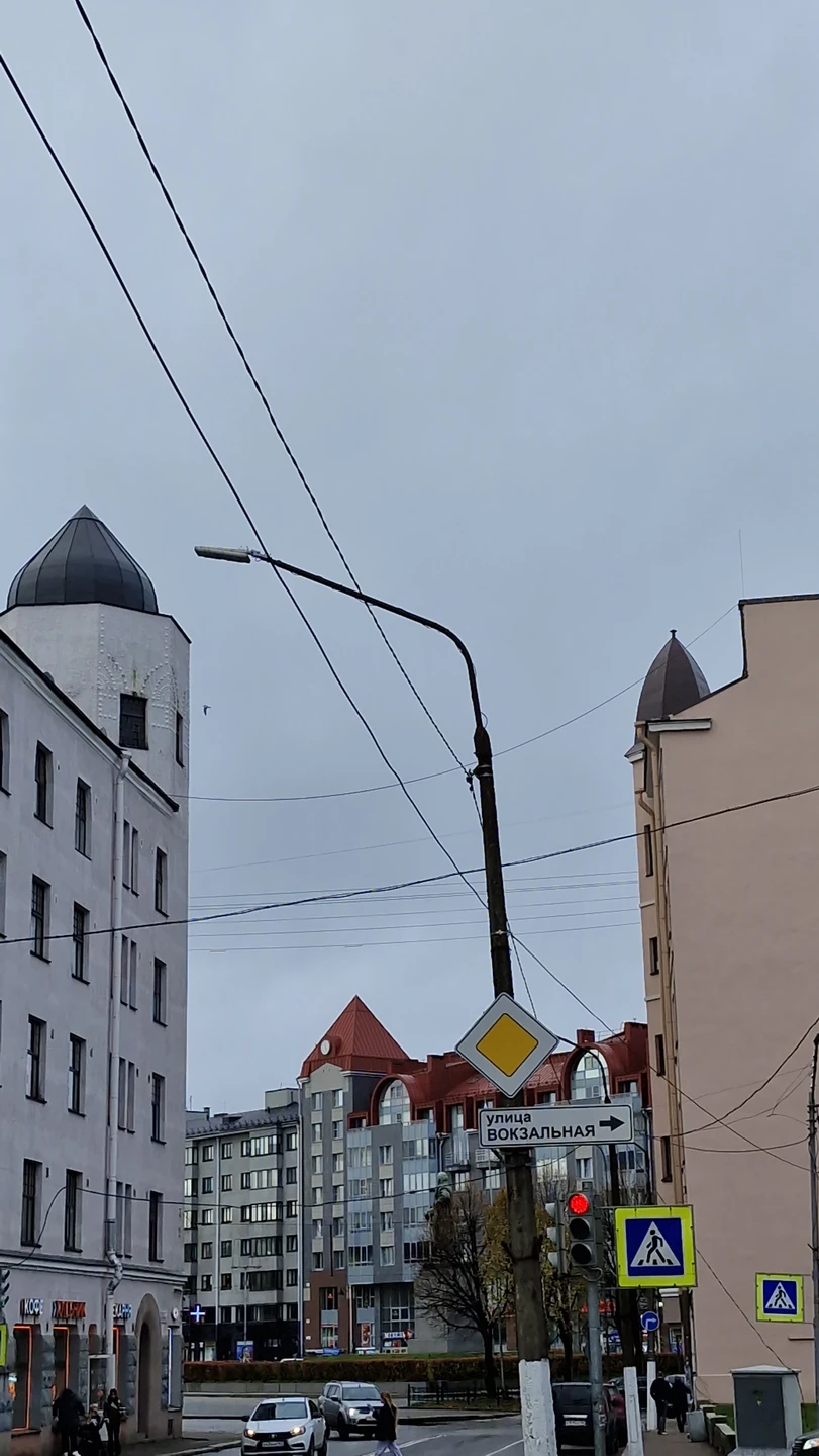 Выборг в компании художника (Александр)