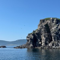 Фото отзыва 1: экскурсия ""