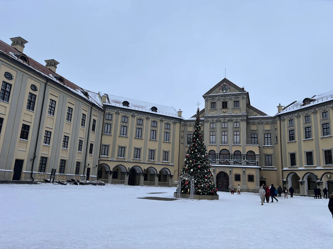 Были на экскурсии по Несвиж на новогодние каникулы, заказывали обзорную экскурсию по Несвеж. Экскурсовод Вячеслав очень
