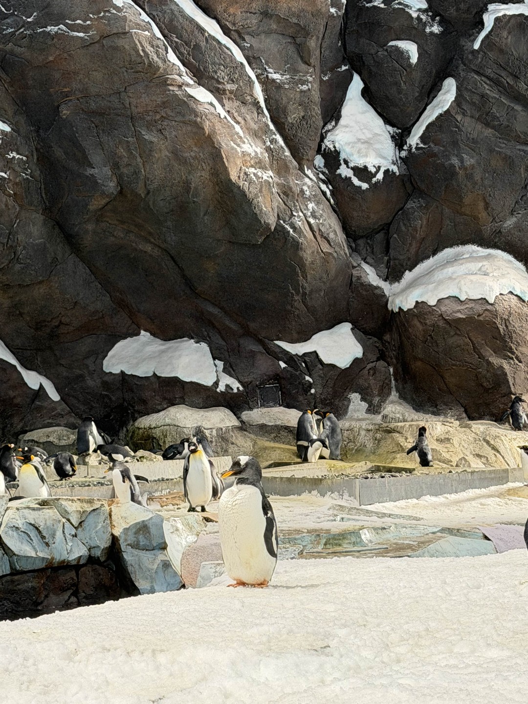 Нам понравилось, как мы провели день с Фаридом, в Абу-Даби были в первый раз, с учетом