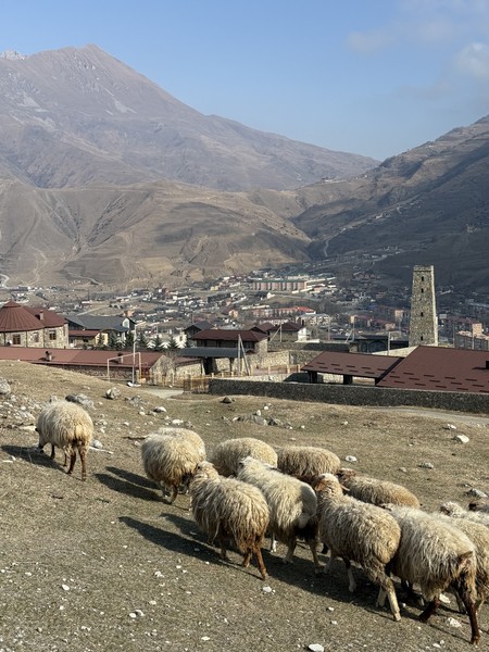 мою экскурссию провел гид Алан, за что ему большое спасибо! была в Осетии не в сезон