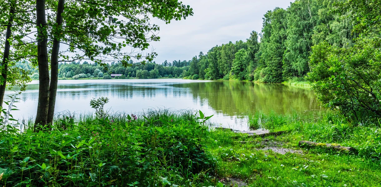 Лосиный остров