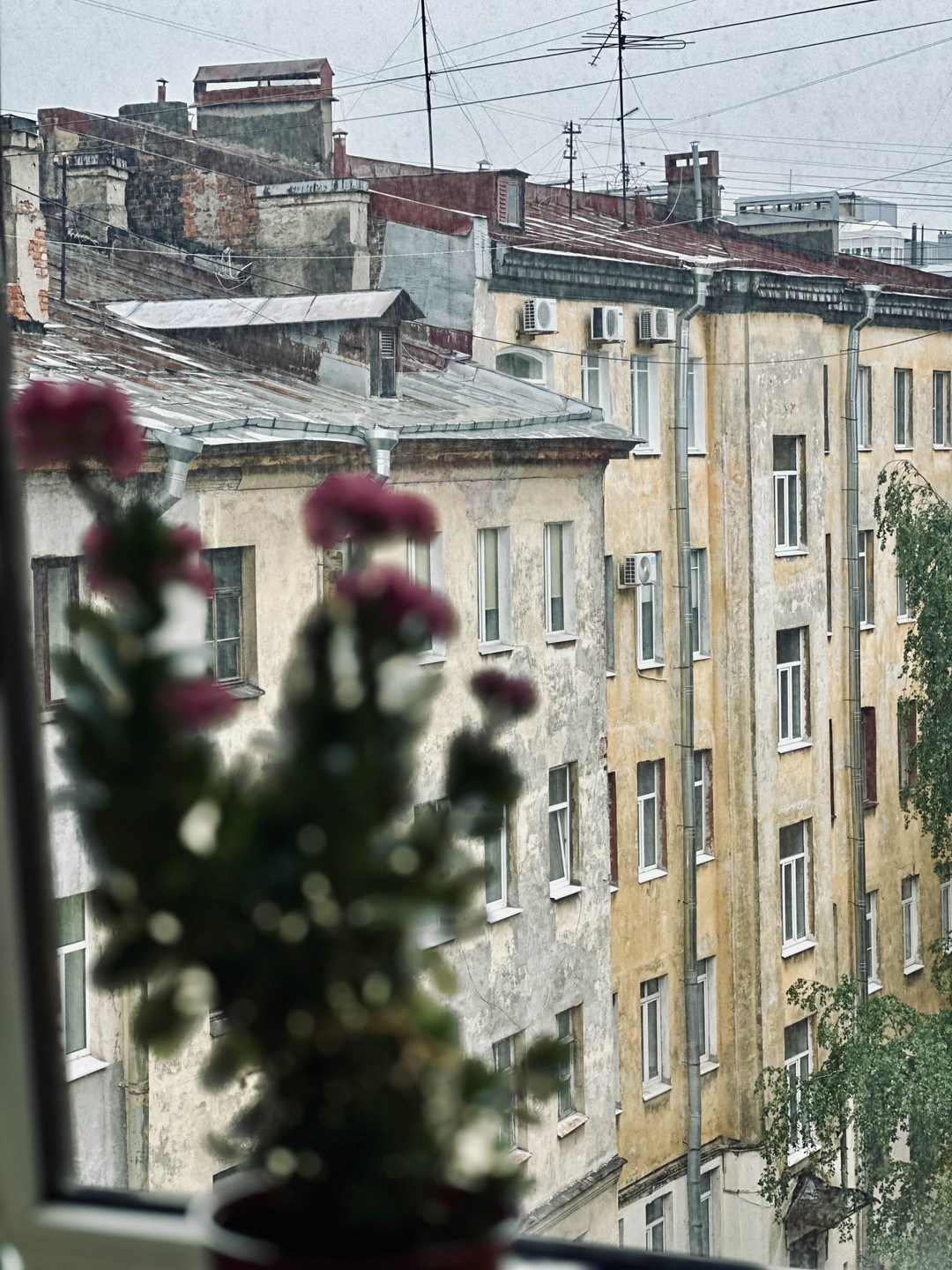 В гости к бабушке: экскурсия в старинную квартиру (Анастасия)