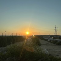 Фото отзыва 1: экскурсия "По следам фараонов. Групповая автобусная экскурсия в Каир"