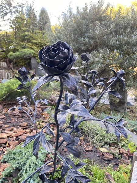 Очень понравилась экскурсия