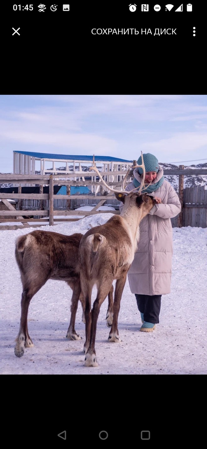 Мы впервые приехали на север и нам хотелось узнать о нём как можно больше в короткие
