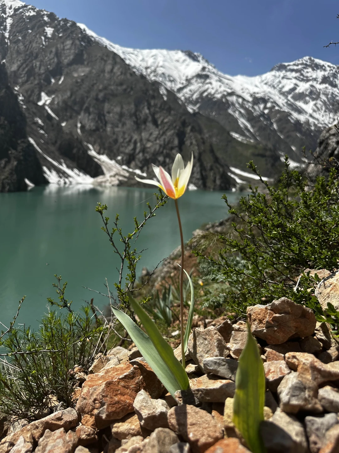 Эта экскурсия была последней в нашем отпуске и стала настоящей жемчужиной впечатлений. Понравилось все. В первую