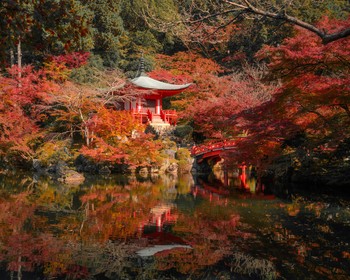 В японскую культуру и гармонию природы погружаемся в тихом Киото, день первый