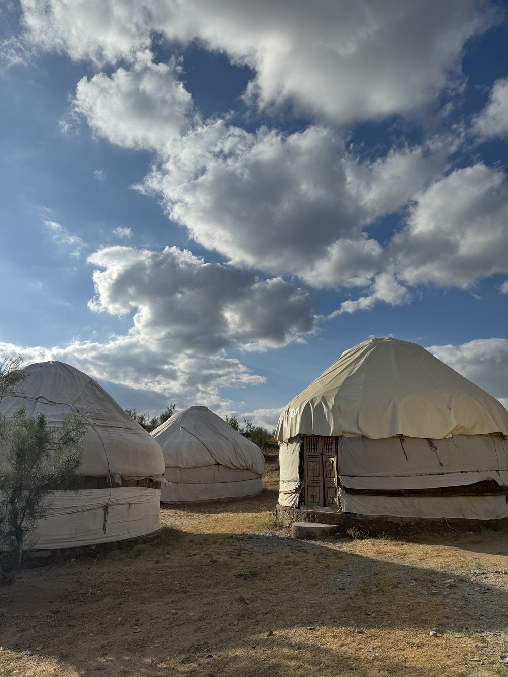 Фото Петроглифы, ночь в юртах и отдых на озере Айдаркуль: двухдневная поездка