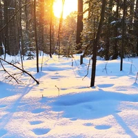 Фото отзыва 2: экскурсия "Речные просторы Красноярья: Енисей, Мана, ГЭС"