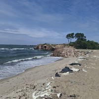 reviews img