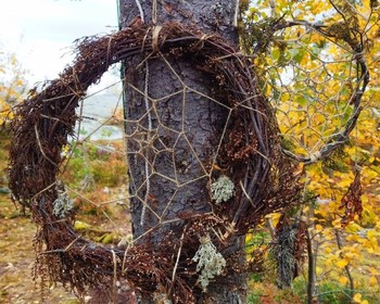 Прогулка с поиском грибов и ягод по горе Воттоваара
