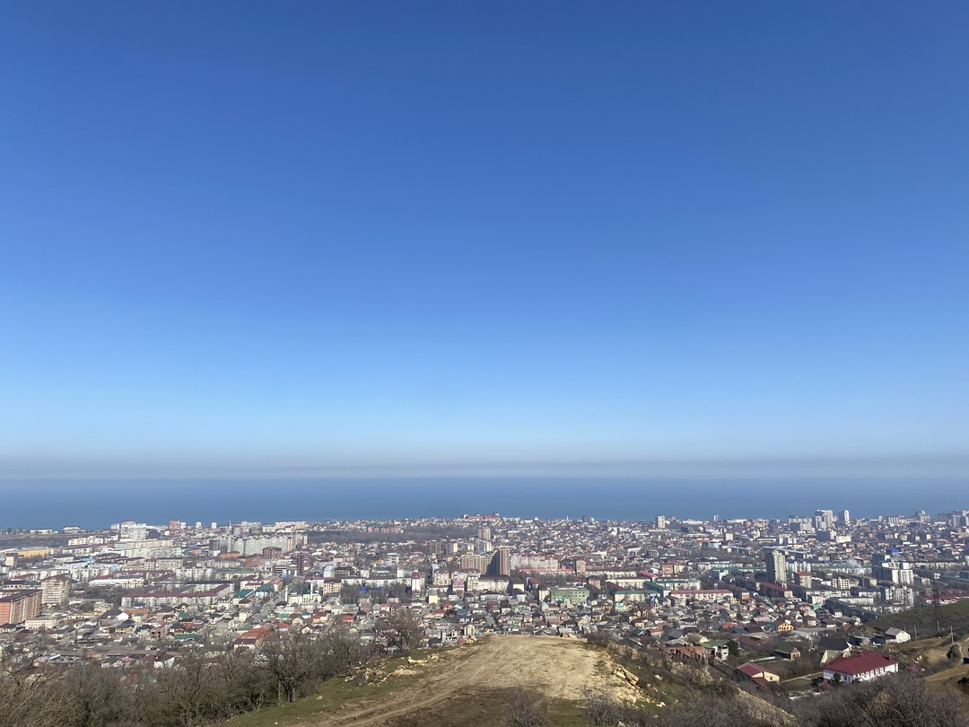 Прогулка прошла на высшем уровне