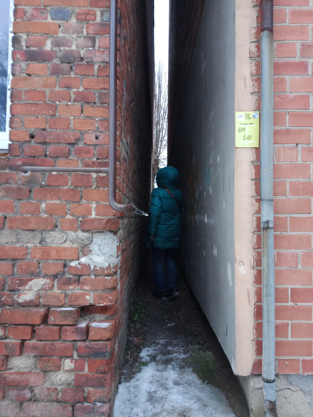 Открыть Черняховск с коренным жителем (Анна)