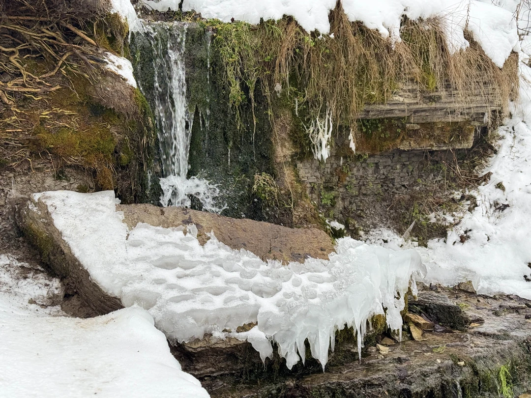 Гуляли по Изборской крепости с Аленой!