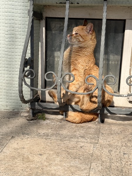 Ваш идеальный день в Стамбуле (Майя)