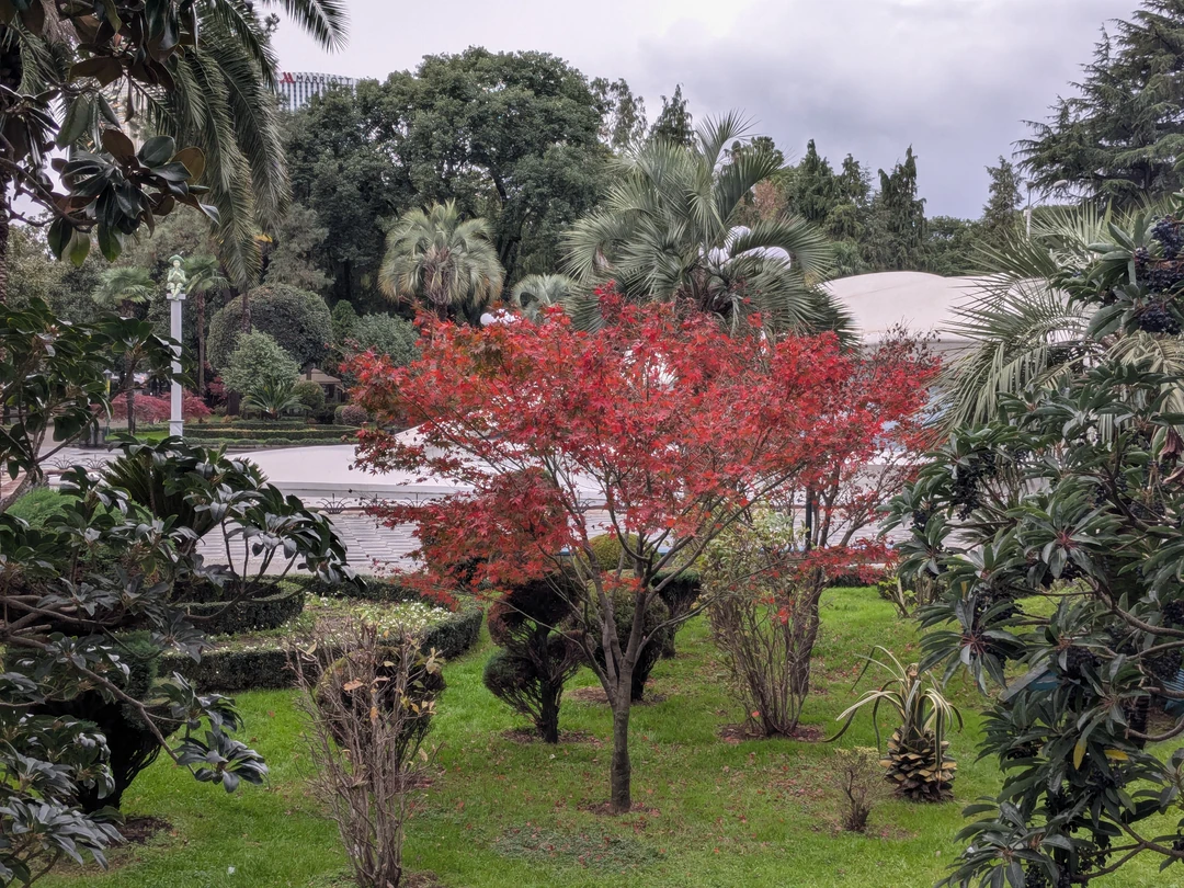 Огромное спасибо за прекрасный день! Красиво, познавательно, вкусно и очень весело!!!