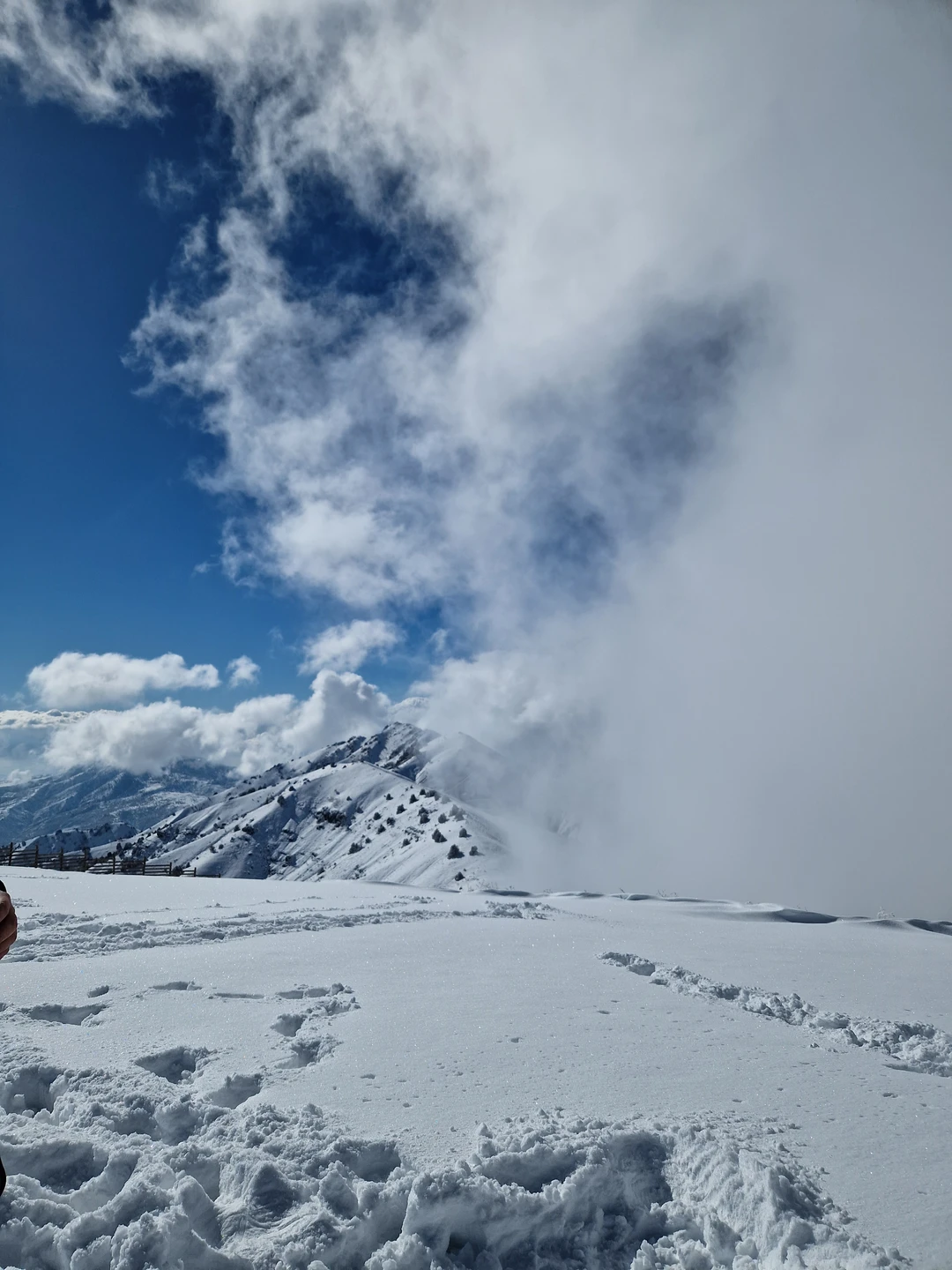 Из Ташкента - в горы Западного Тянь-Шаня (Елена)