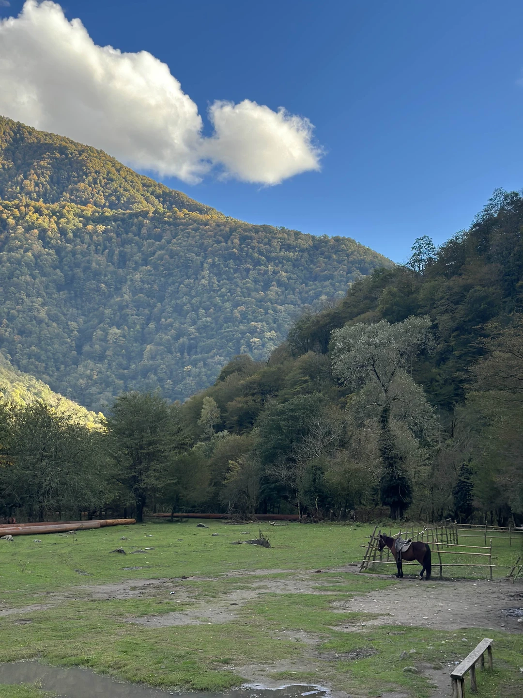 Абхазия подарила нам душевный тёплый день, в которым было много новых впечатлений: и дегустация разных вин