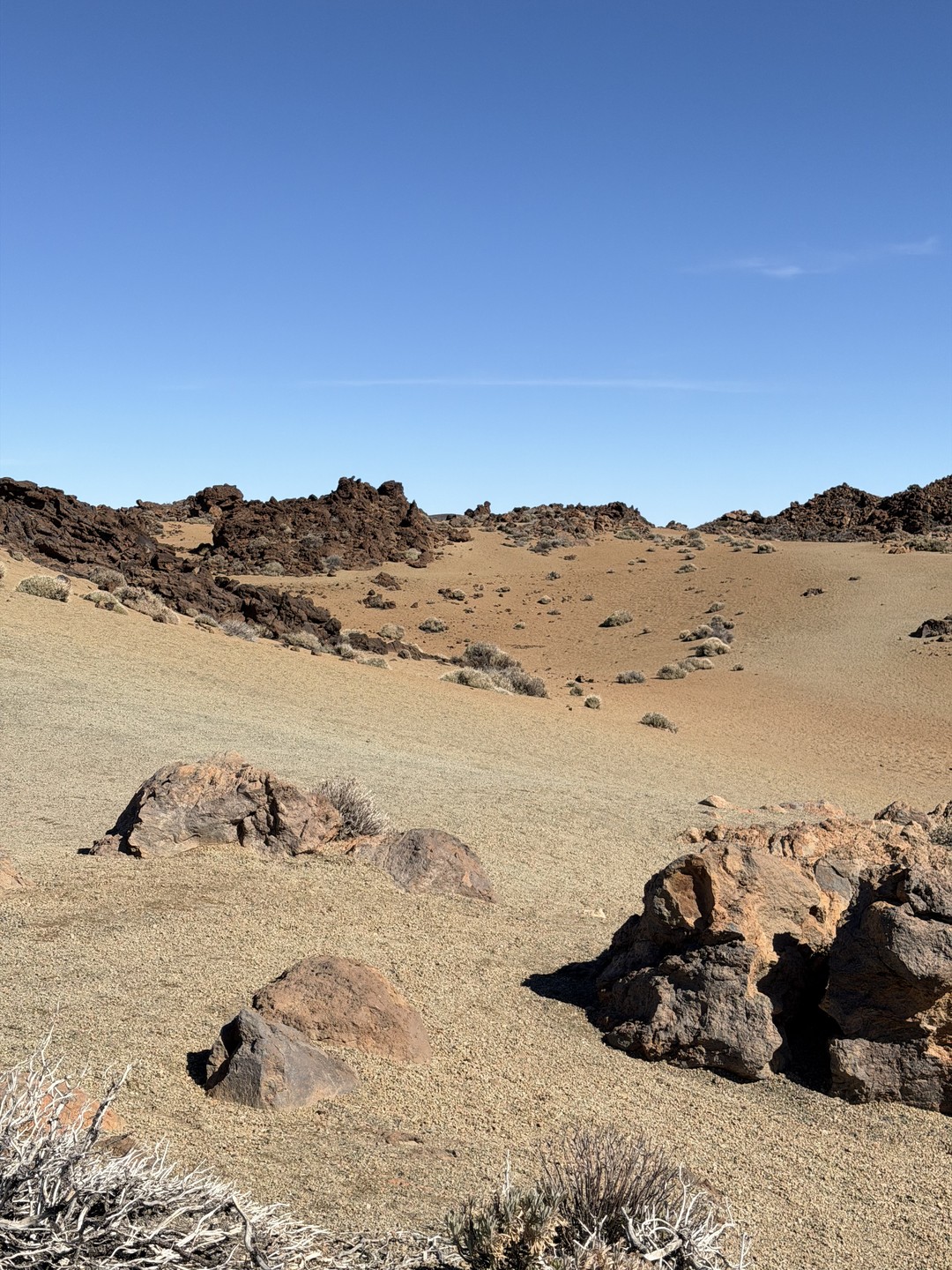 Экскурсия прошла замечательно, очень много интересной информации об острове, красивые локации по пути, комфортная машина. Спасибо