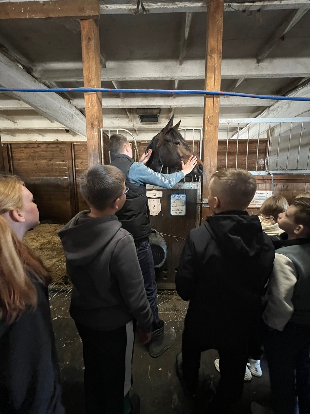 Визит на конюшню для взрослых и детей (8/11)