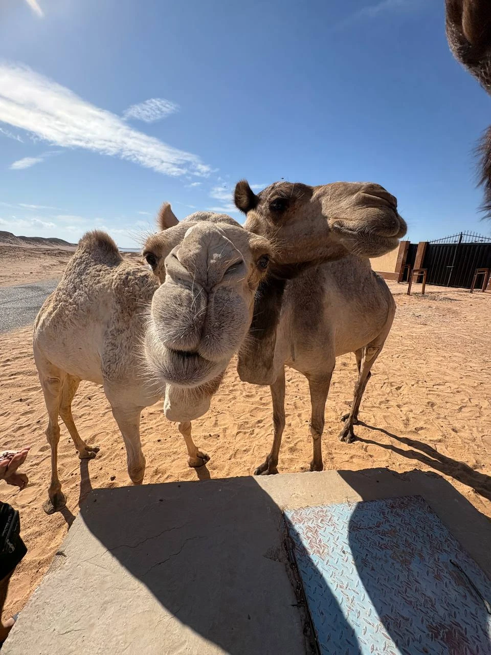 Экскурсии с Анастасией - это восторг! Очень приятная и легкая в общении девушка! Фотопрогулка была легкой