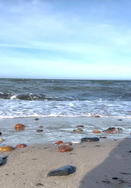 Наша экскурсия «Виллы, форт, коса, курорт… и замок!» состоялась 5 марта 2026 года