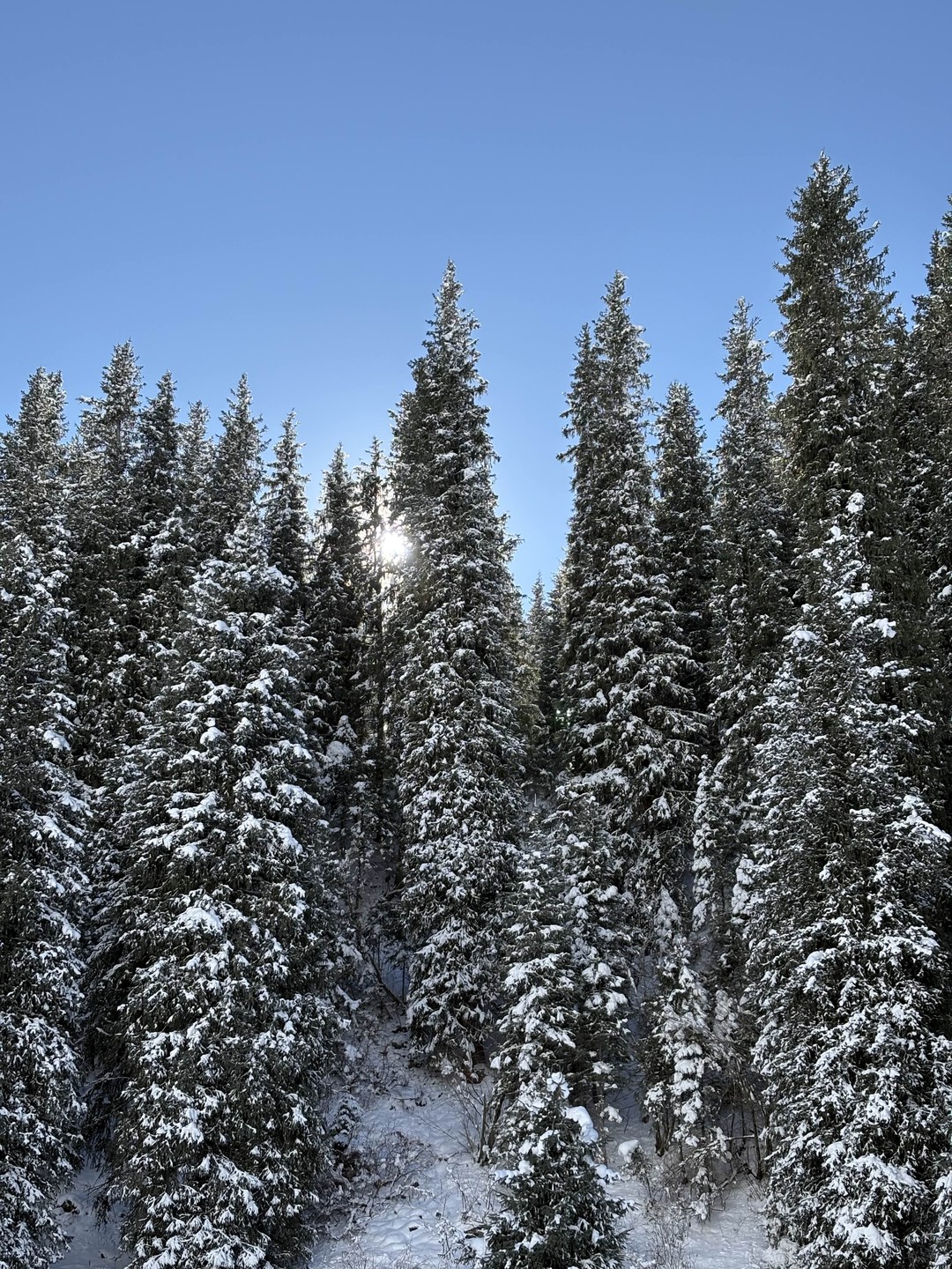 Мы отправились на этот тур парой. Ожидания были полностью оправданы, даже более чем!
